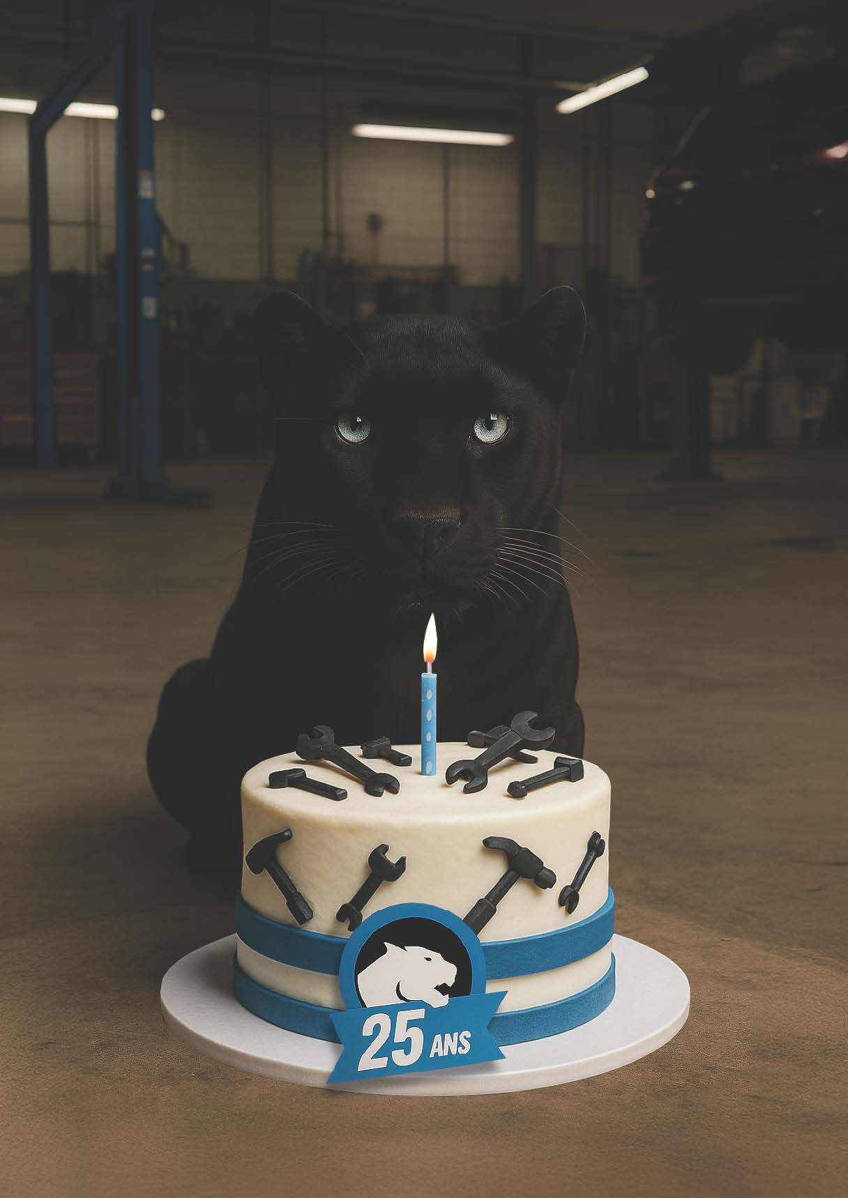 birthday cake with blue trimmings and the Panther Pro logo with writing 25 ans (25 years). Black panther sat behind the cake in a workshop setting.