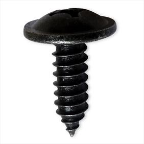 Black metal body screw